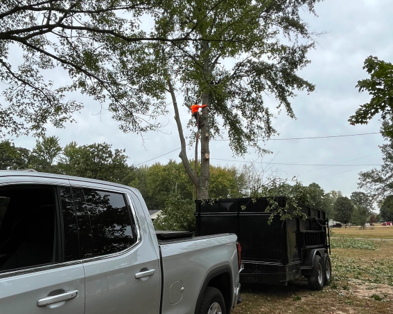 Debris Hauling Services