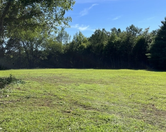 Land Clearing Contractors Services