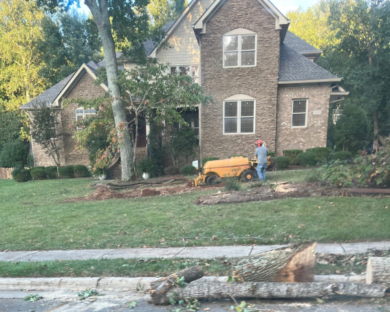 Stump Grinding Services 2