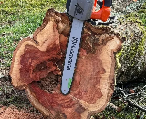 stump grinding services stump removed hazel green al bottom