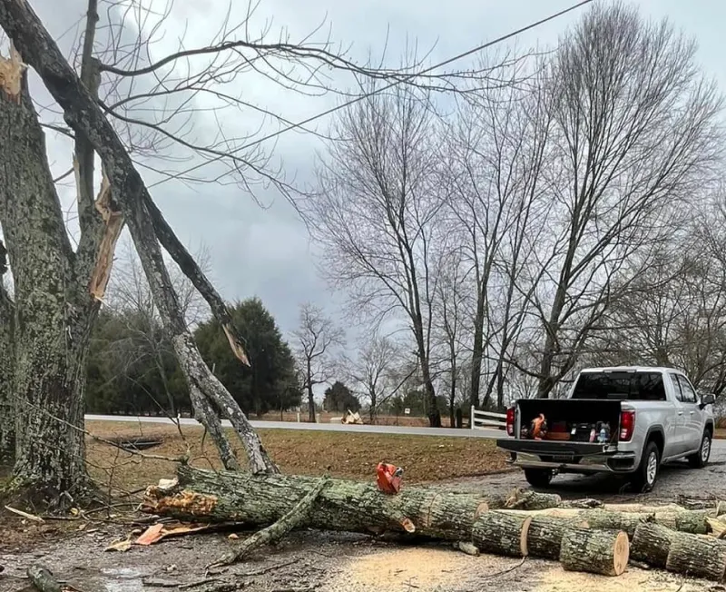 utility clearance removing branch leaning on power line hazel green al